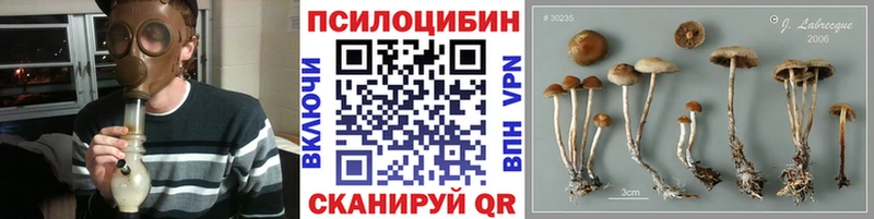 Галлюциногенные грибы ЛСД  OMG зеркало  Карабулак 