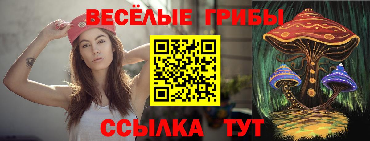 Псилоцибиновые грибы GOLDEN TEACHER Карабулак