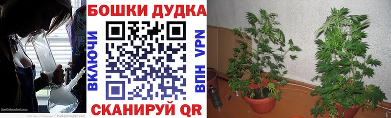 закладка  Карабулак  Бошки марихуана THC 21% 
